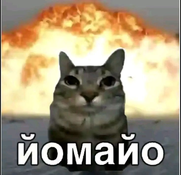 GustudsTV